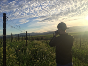 Cody Rasmussen in vineyard