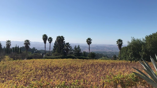 Lichau Hills Vineyard